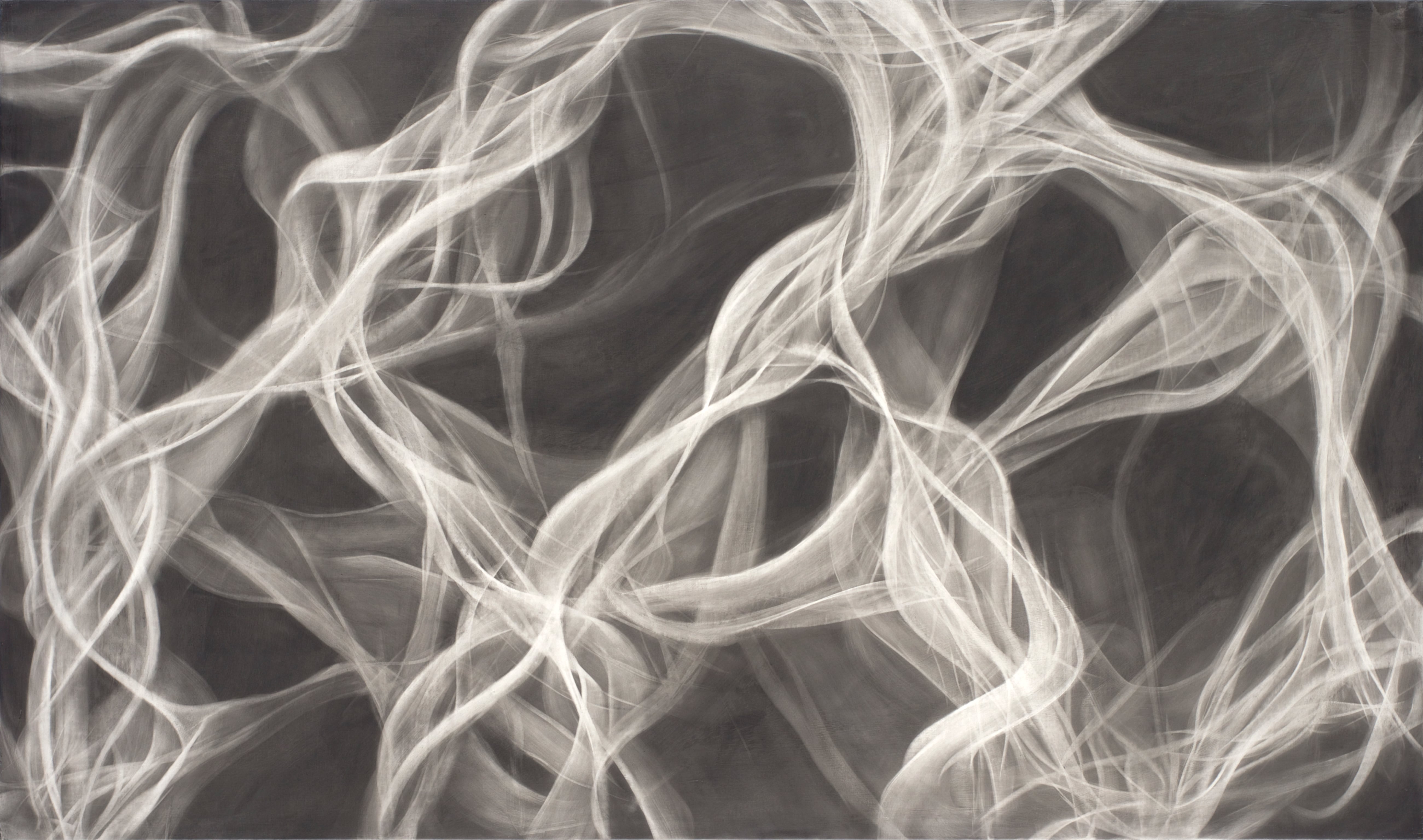 Duffield, 32 x 54 inches, 42 x 76, oil, alkyd and graphite on linen, 2014