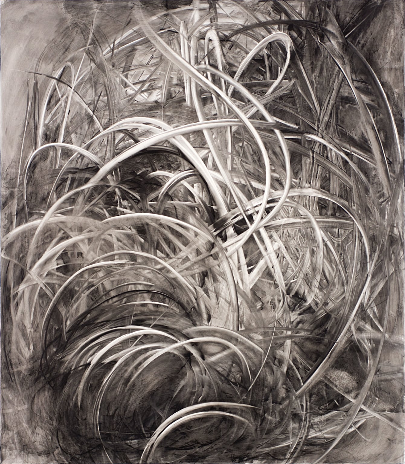 Beverley, 40 x 34  inches, oil and graphite on linen, 2016